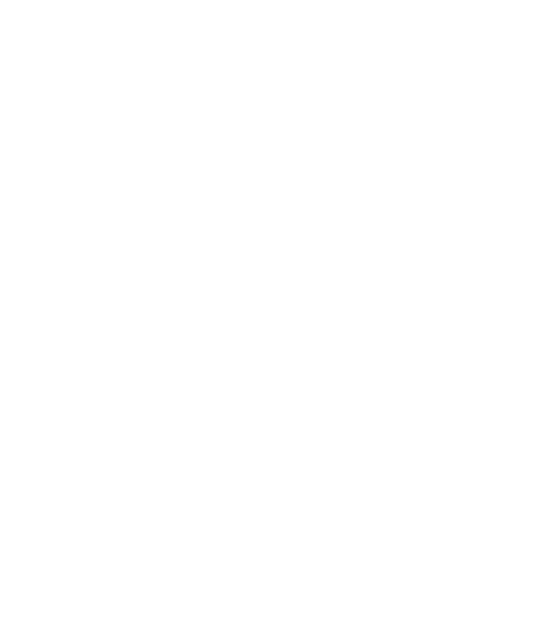 Instituto Quántico
